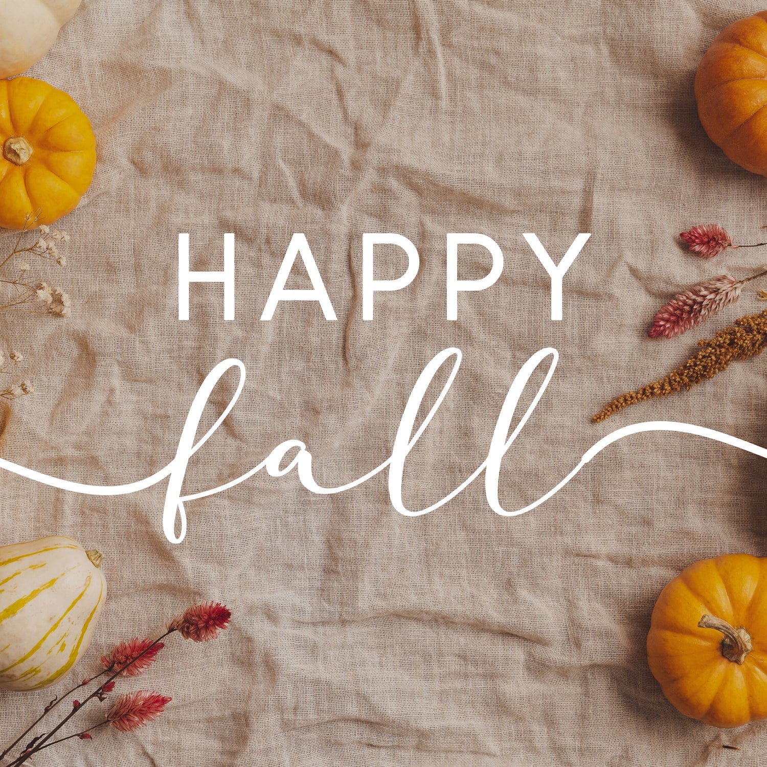 Fall Finds