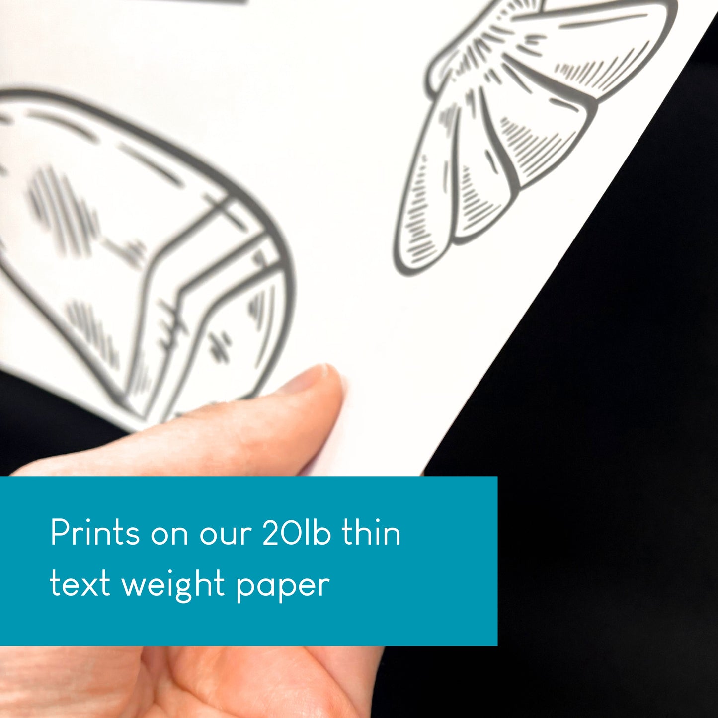 Economy Poster Printing