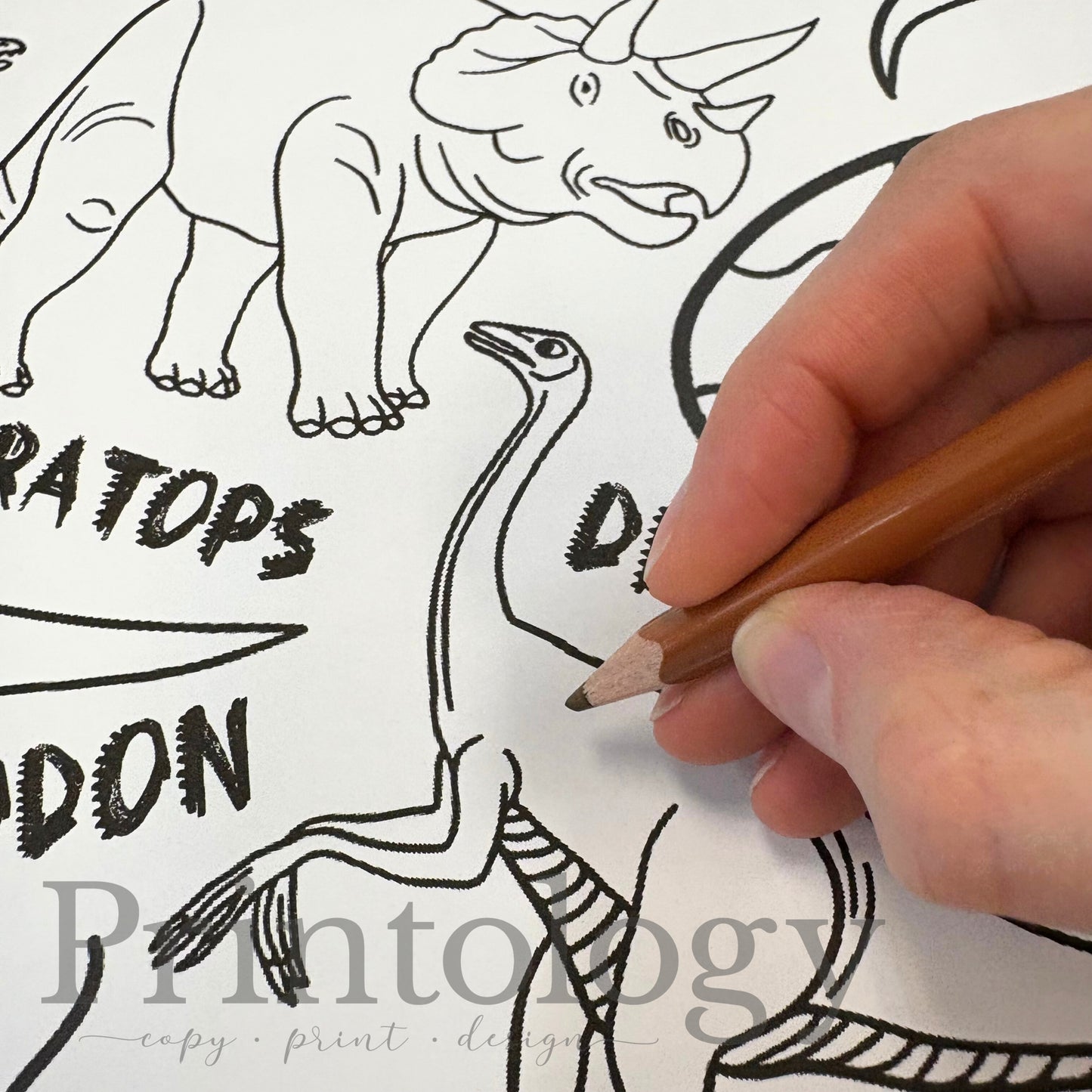 Dinosaurs Giant Coloring Sheet