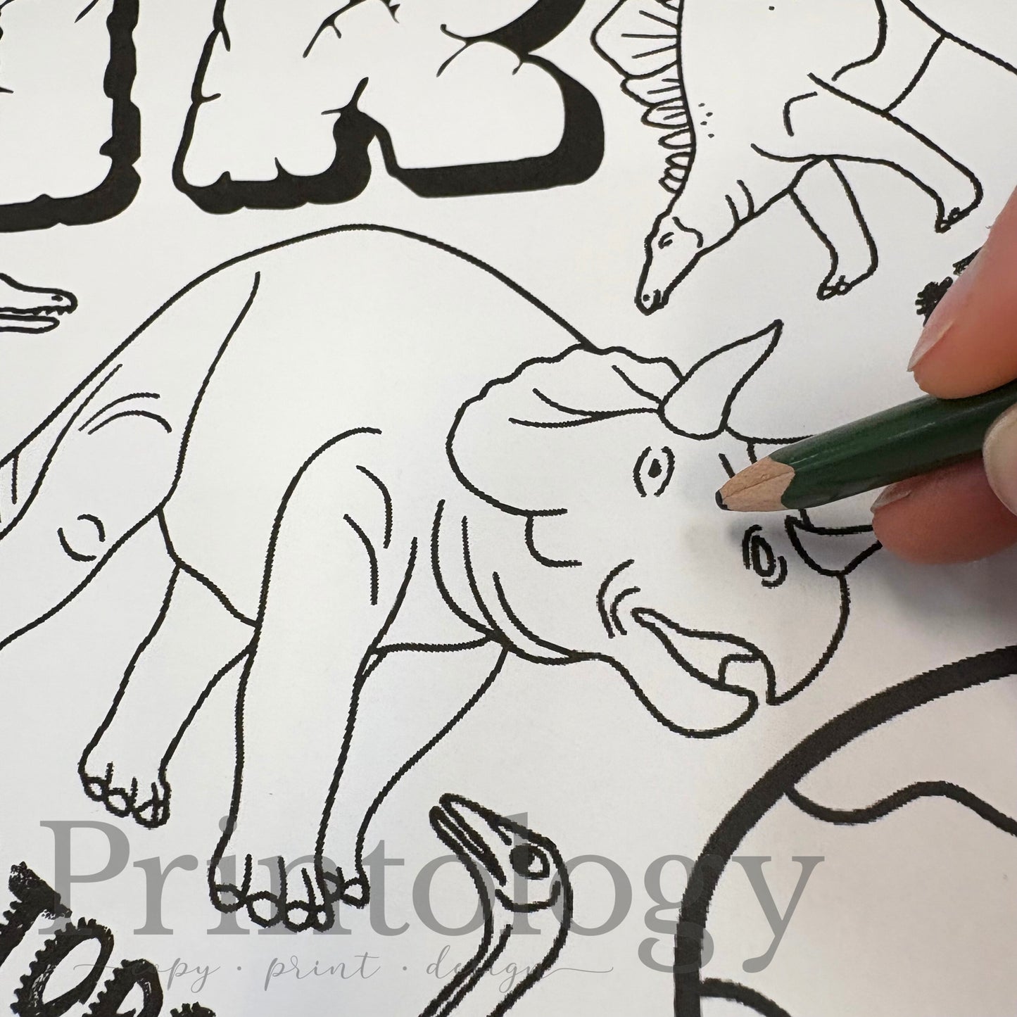 Dinosaurs Giant Coloring Sheet
